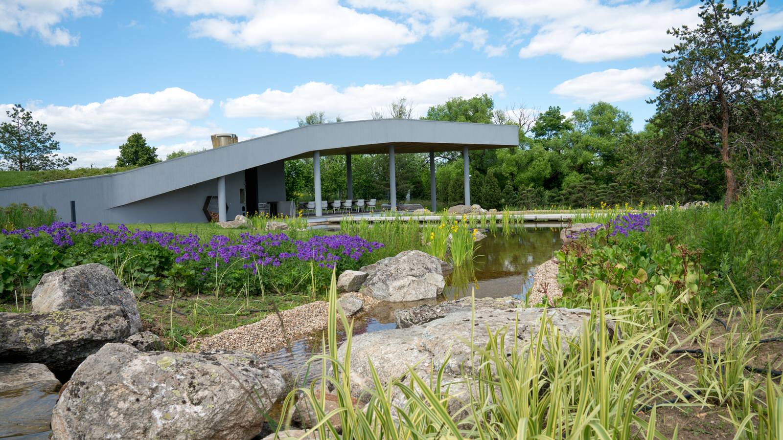 Природный сад. Жуковка XXI век. 2017-2018 гг.