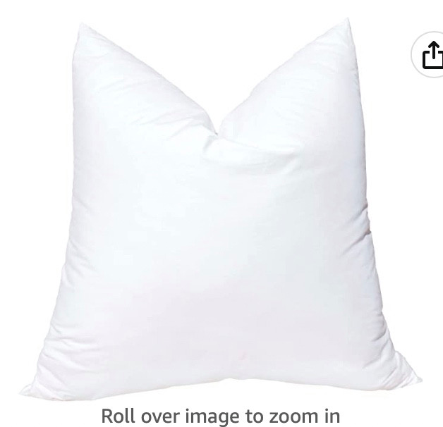 pillow/insert