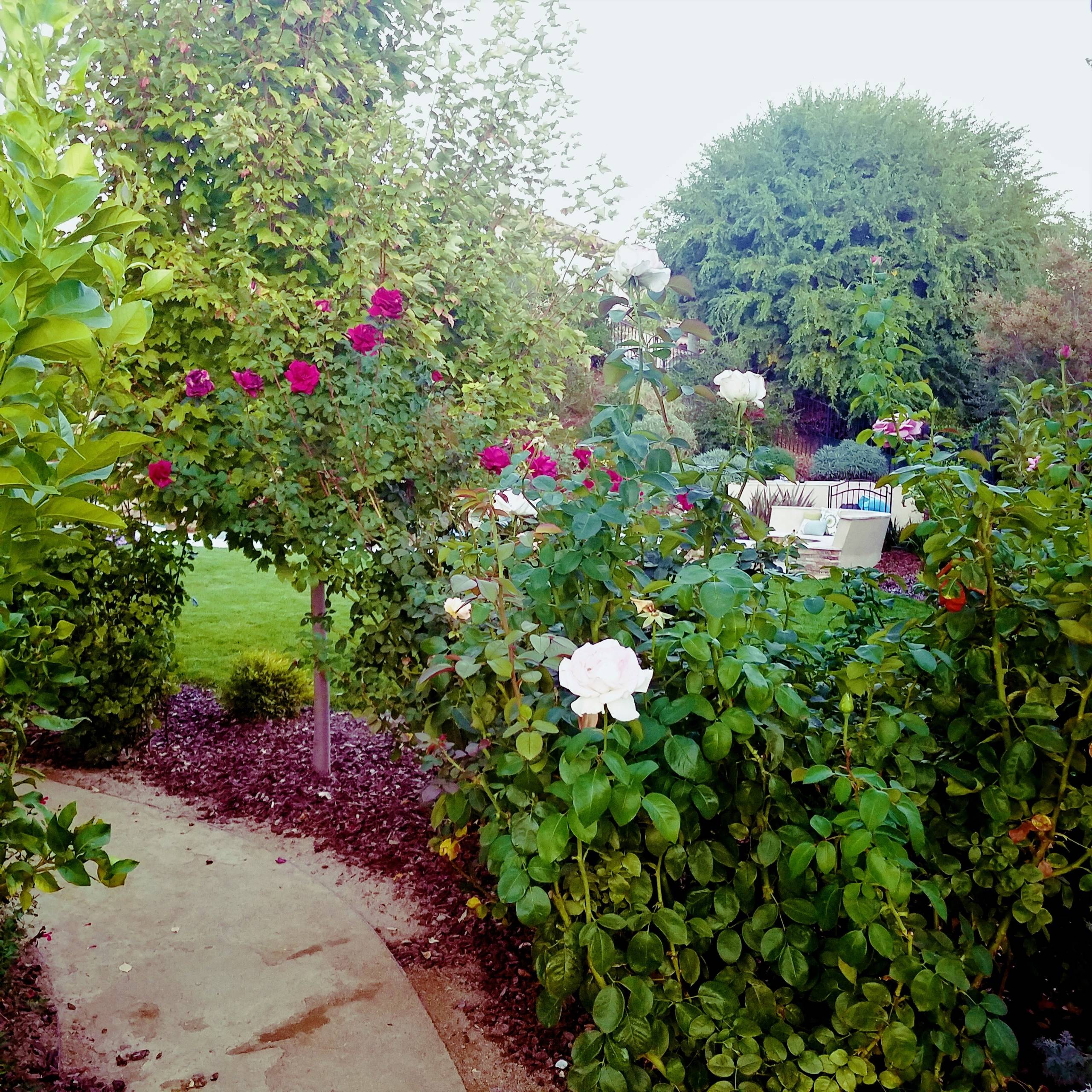 Gilroy CA