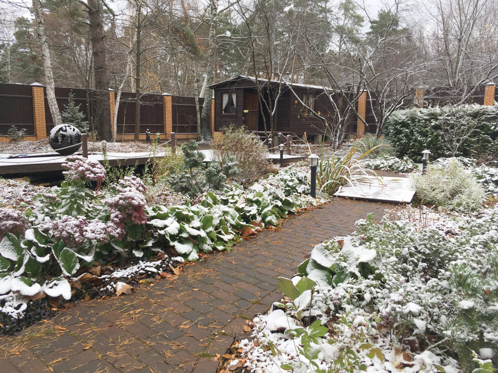 Белкин Сад. Предзимье 2019