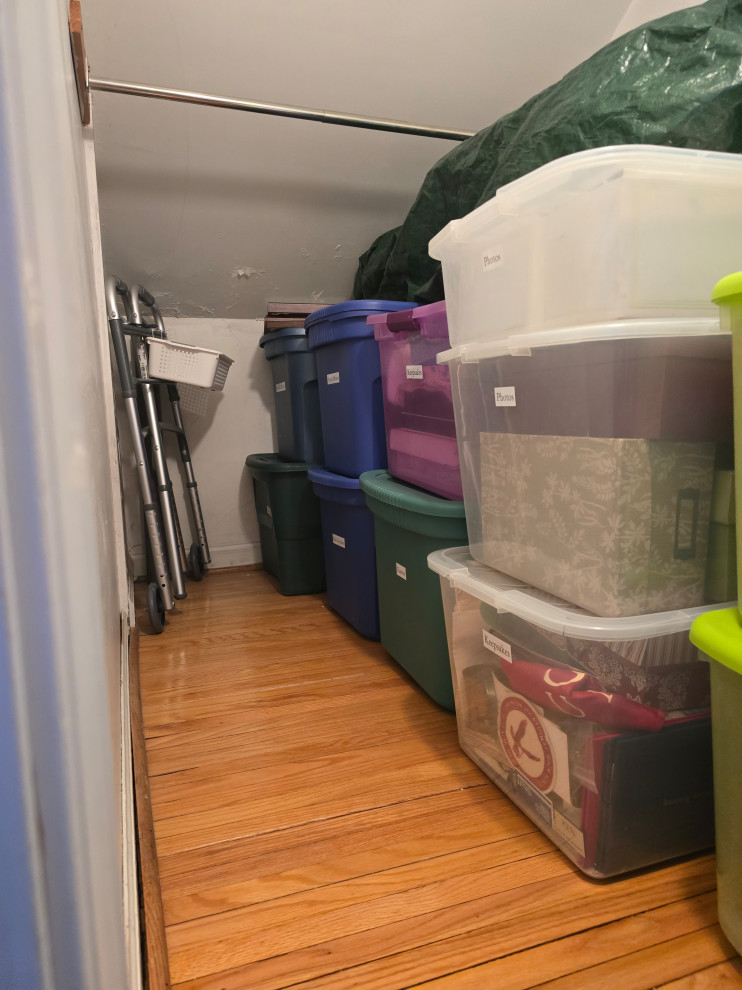 Boxes and boxes of photo albums