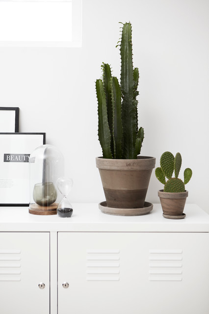 Houzz Tours Camilla Julie 