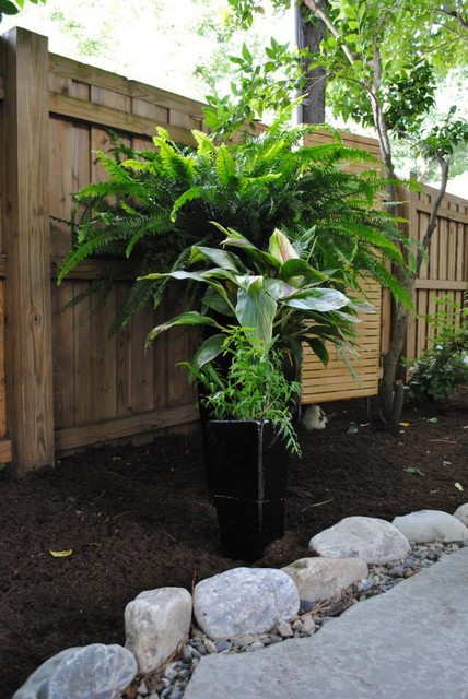 Backyard contemporary-garden