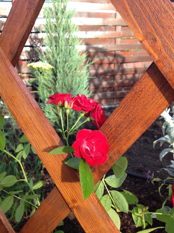 Истринские дачи