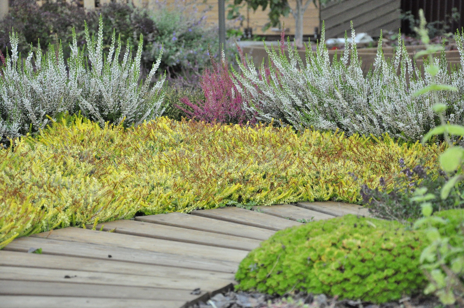 д. Коровино - Уход за садом - 100% качество