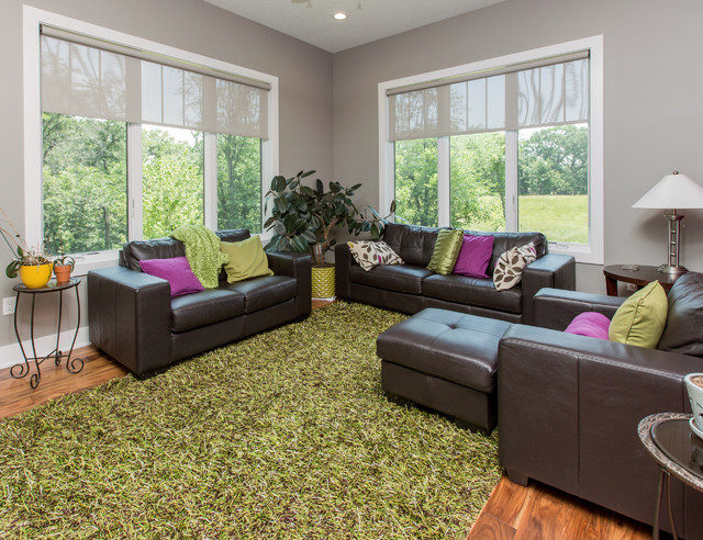 80 Fox Landing contemporary-living-room