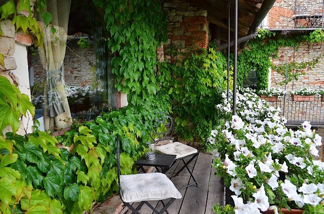 Relais nelle Langhe klassisk-terrasse