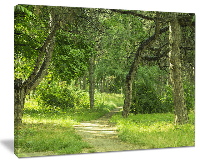 "Green Forest Path in Early Summer" Landscape Canvas Photo Print, 20