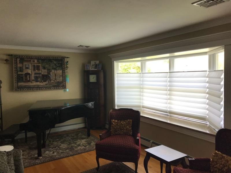 Alustra Vignette Modern Roman Shade
