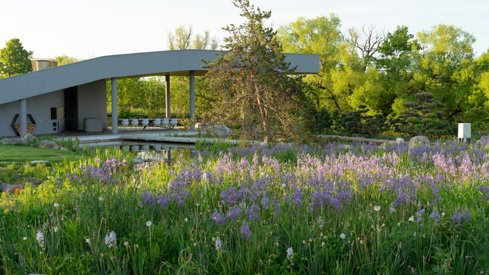 Природный сад. Жуковка XXI век. 2017-2018 гг.