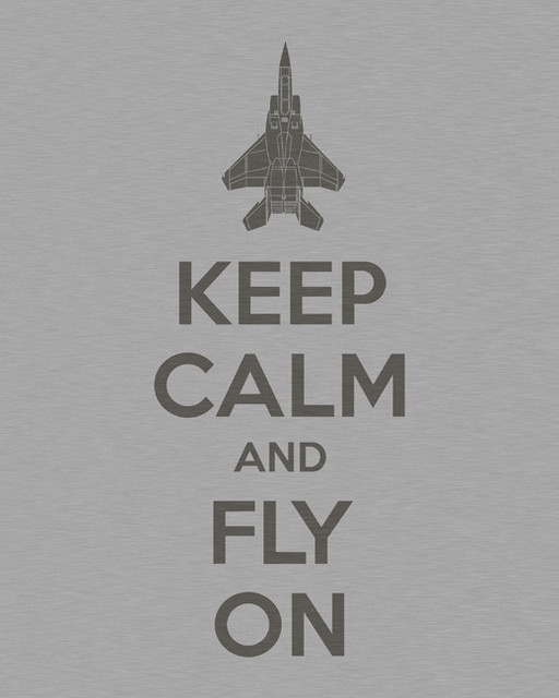 Keep Calm and Fly On, premium art print (brushed metal)