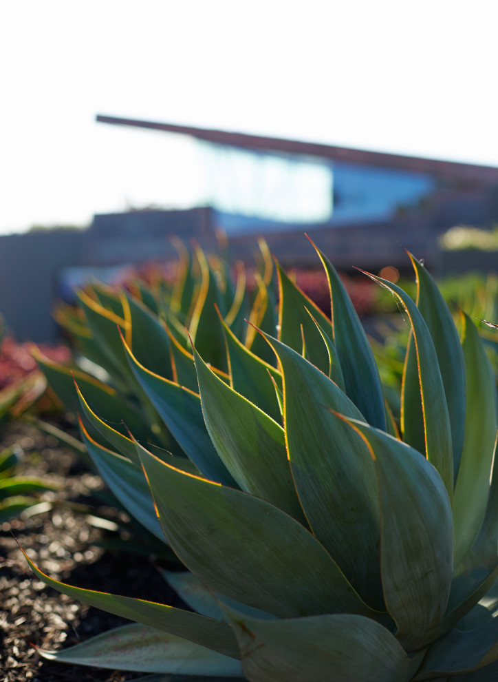 Pismo Beach Garden Pavillion