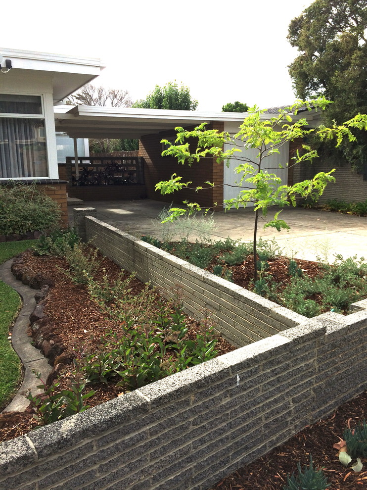 Small midcentury front yard xeriscape in Melbourne.