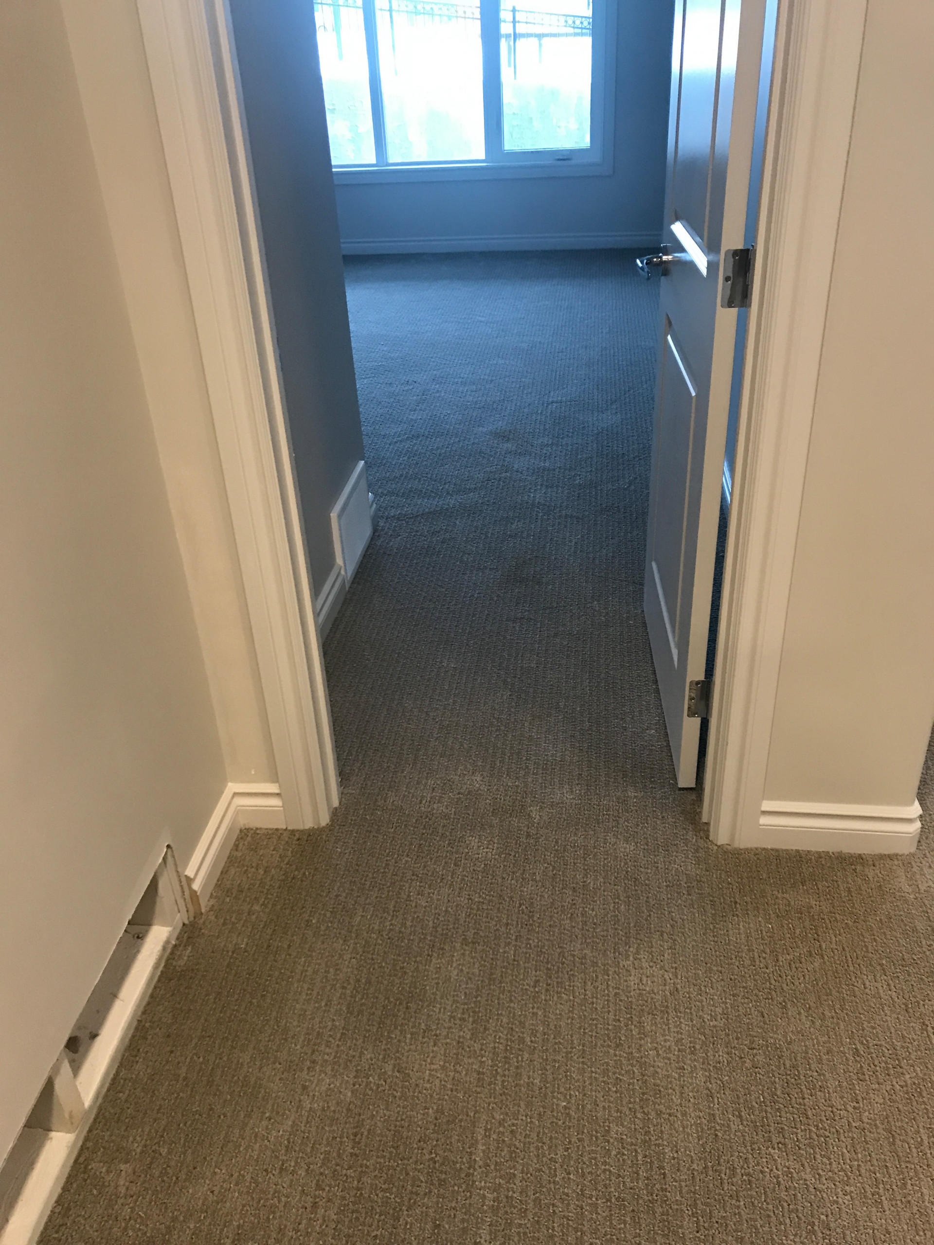 Carpet