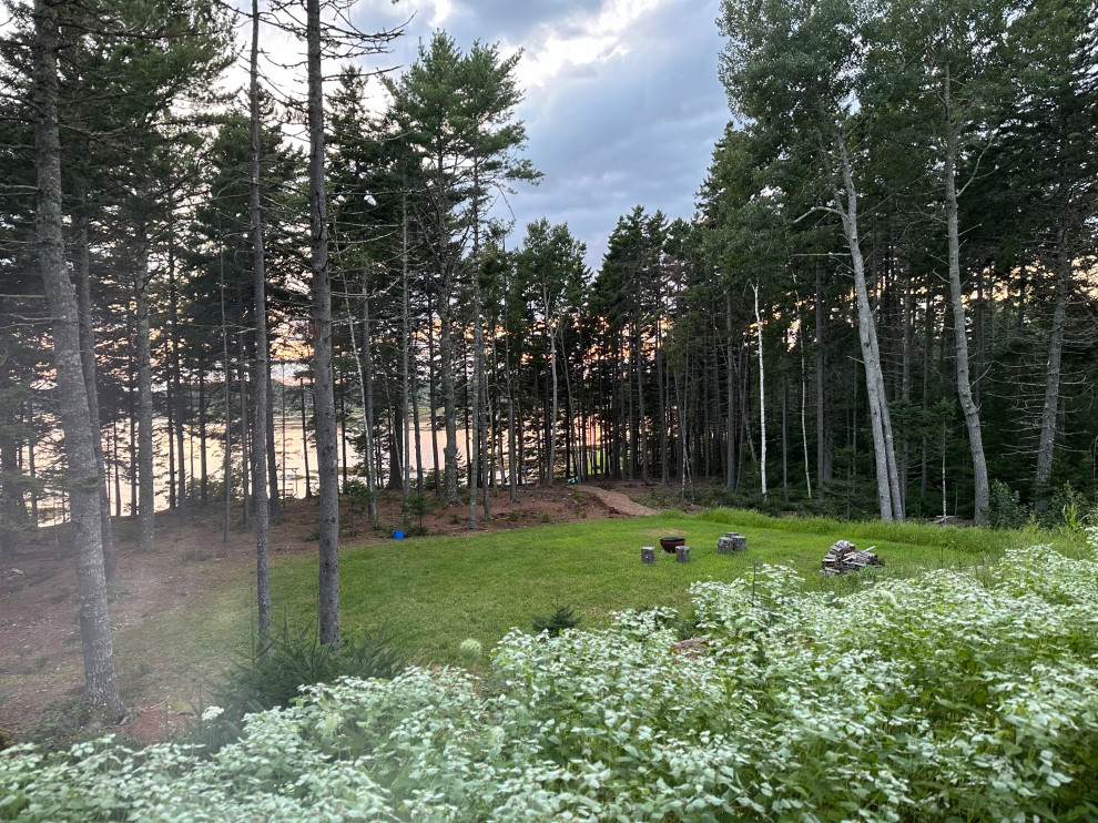 New Backyard Landscape