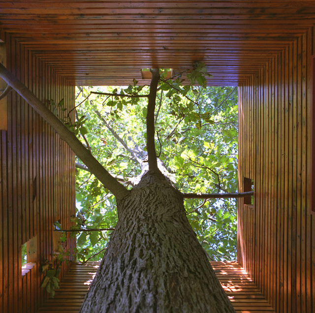 Брашированное дерево в интерьерной отделке