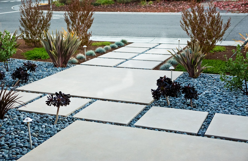 Inspiration for a mid-sized modern front yard formal garden in San Francisco with a garden path and concrete pavers.