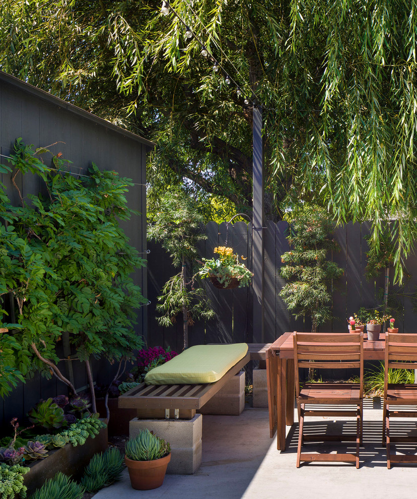 Design ideas for a small traditional backyard patio in Los Angeles with concrete slab and no cover.