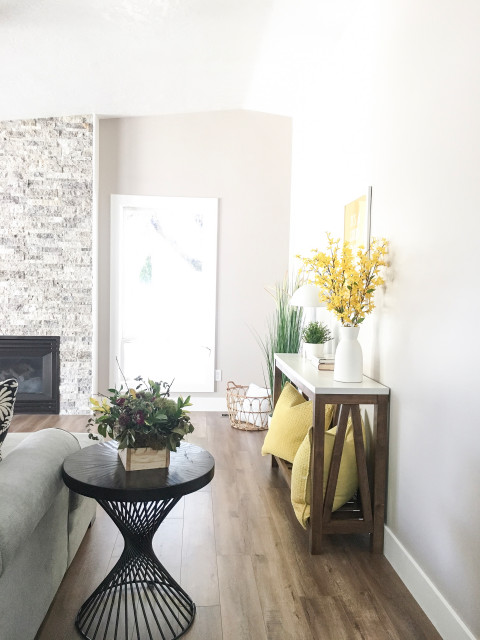 Idaho Interior Design campagne-salon