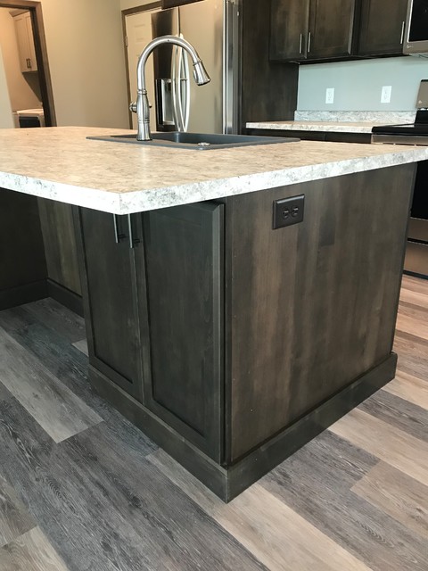 Functional Family Home (Kitchen, Bath, & Laundry) transitional-kitchen