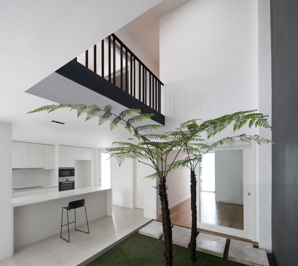 Inspiration for a contemporary courtyards in Singapore.