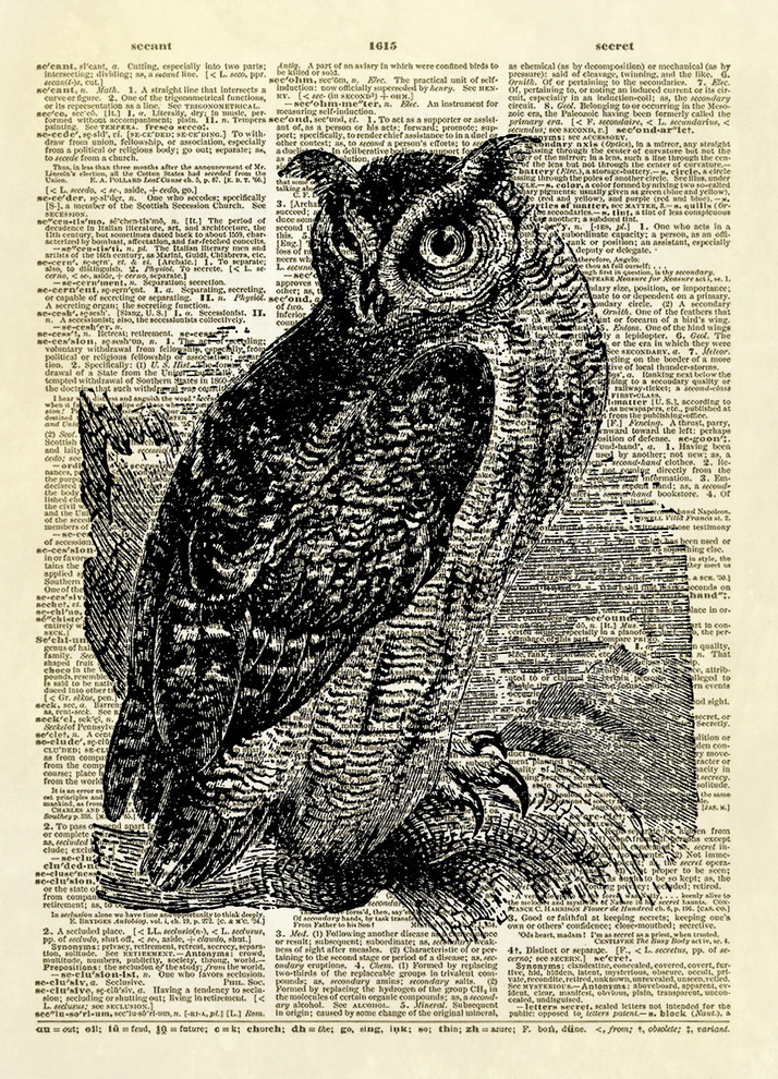 OWL ANIMAL ART PRINT PICTURE  BIRD VINTAGE ANTIQUE DICTIONARY STYLE BOOK PAGE 