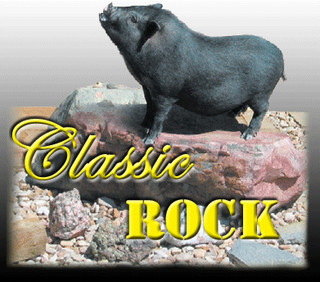 Classic Rock Stone Yard Rockwall Tx Us 75087 Houzz