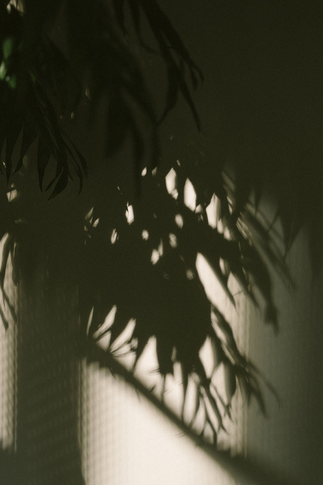 Паста-бар Penny