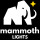 Mammoth Lights