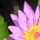 webuser_943561