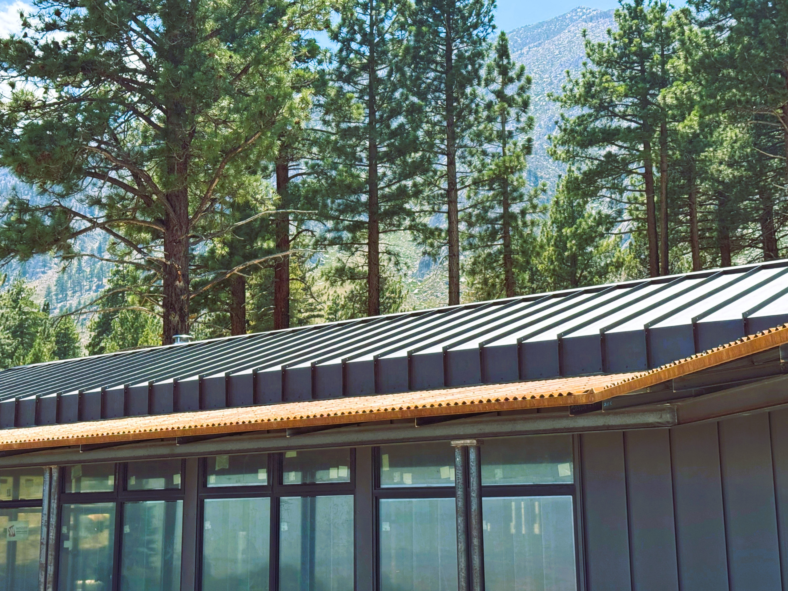 Roof Detail