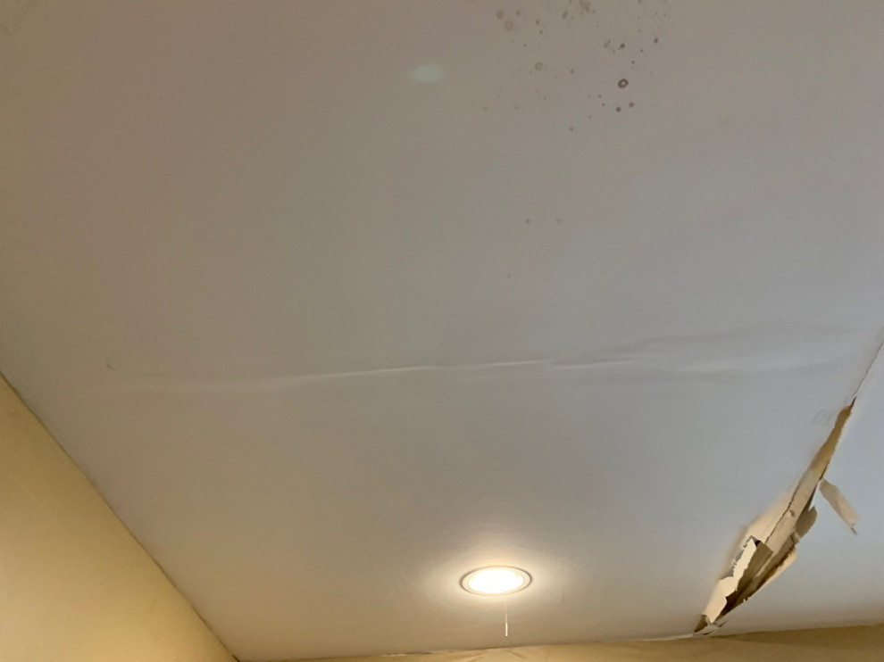 Water mitigation boston