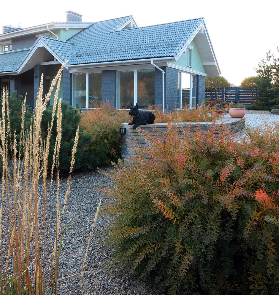 Полынный берег. Новые снимки