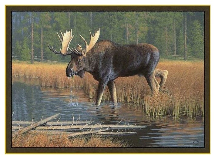 Moose Area Rug Rustic Area Rugs by Wildlife Wonders Houzz