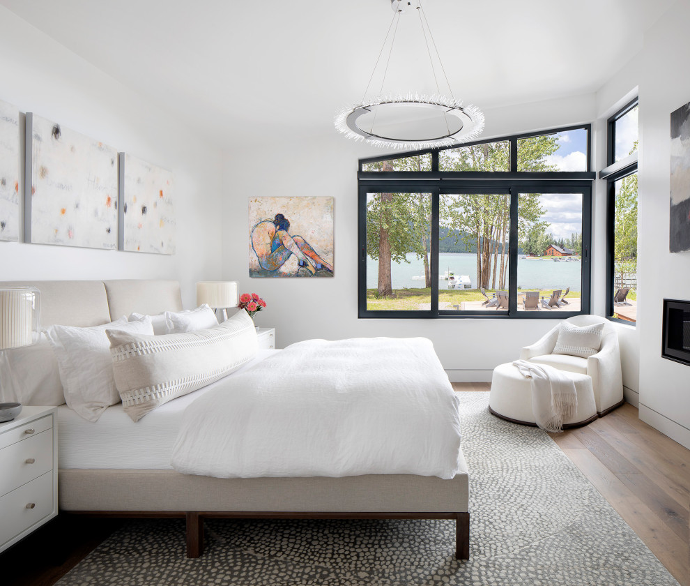 This is an example of a mid-sized contemporary master bedroom in Other with white walls, medium hardwood floors, a ribbon fireplace, a plaster fireplace surround and brown floor.