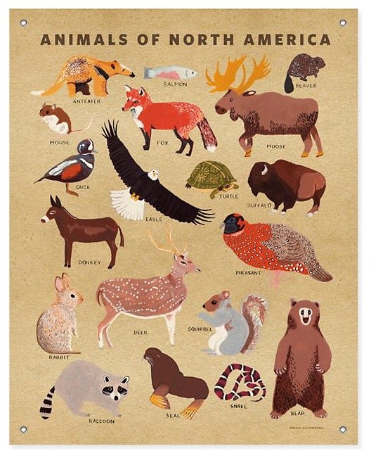 ‘Animals of North America’ Banner