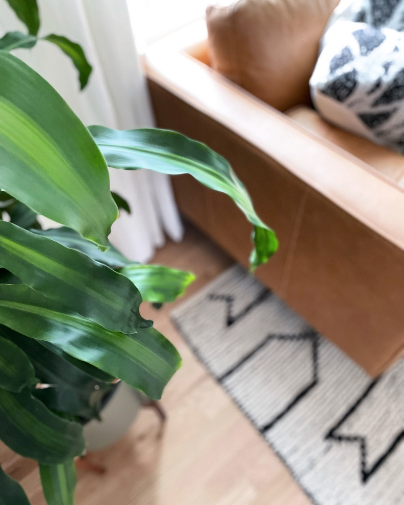 Butler Living & Foyer | Arvada, CO | Classic Modern Remodel