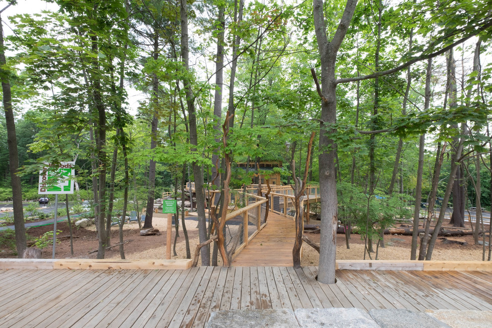 Discovery Woods