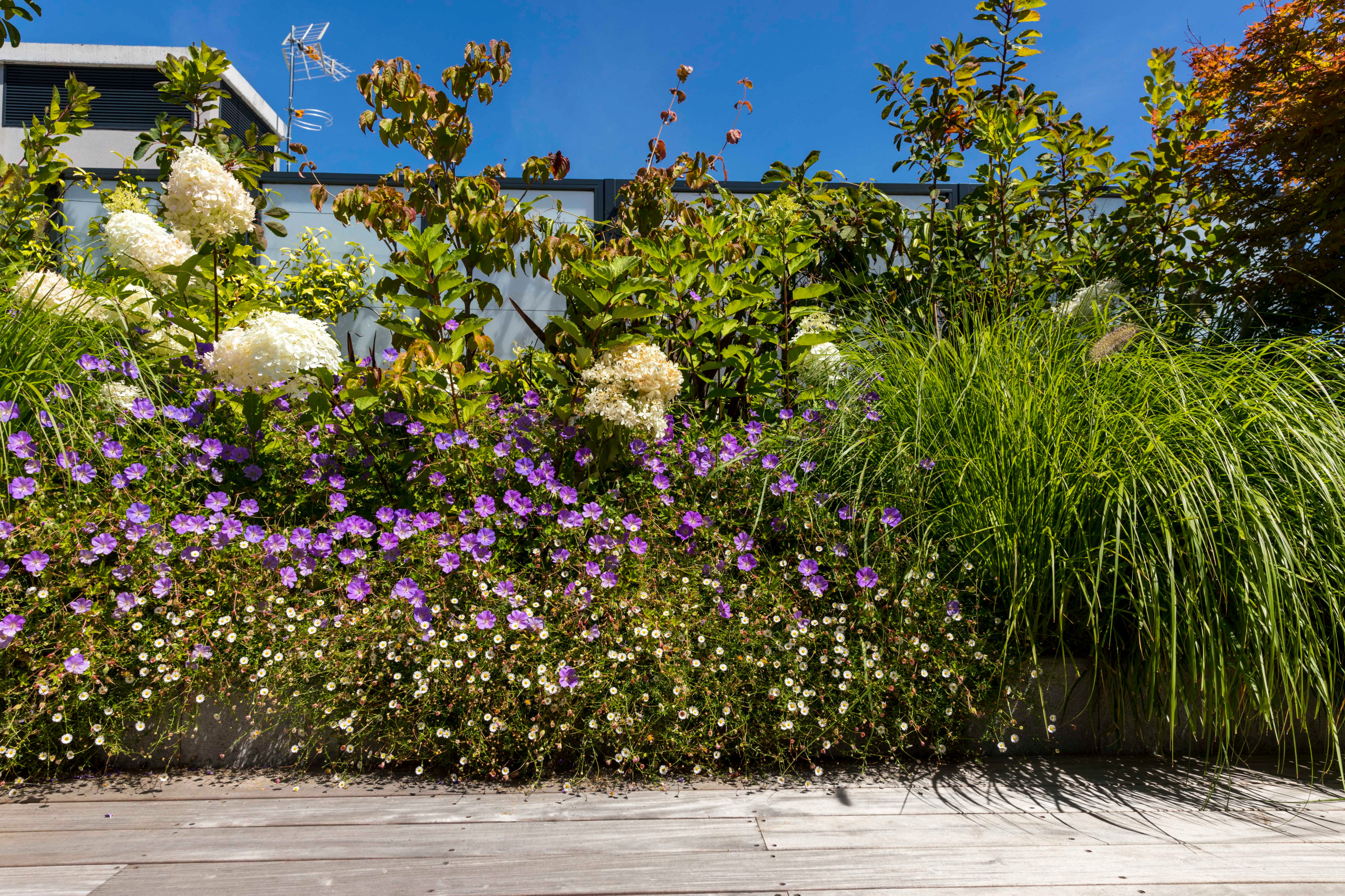 une terrasse foisonnante!
