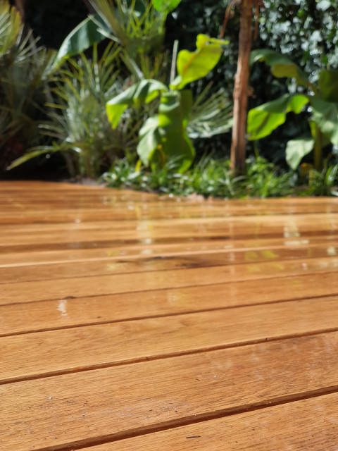 Cross House contemporary-deck