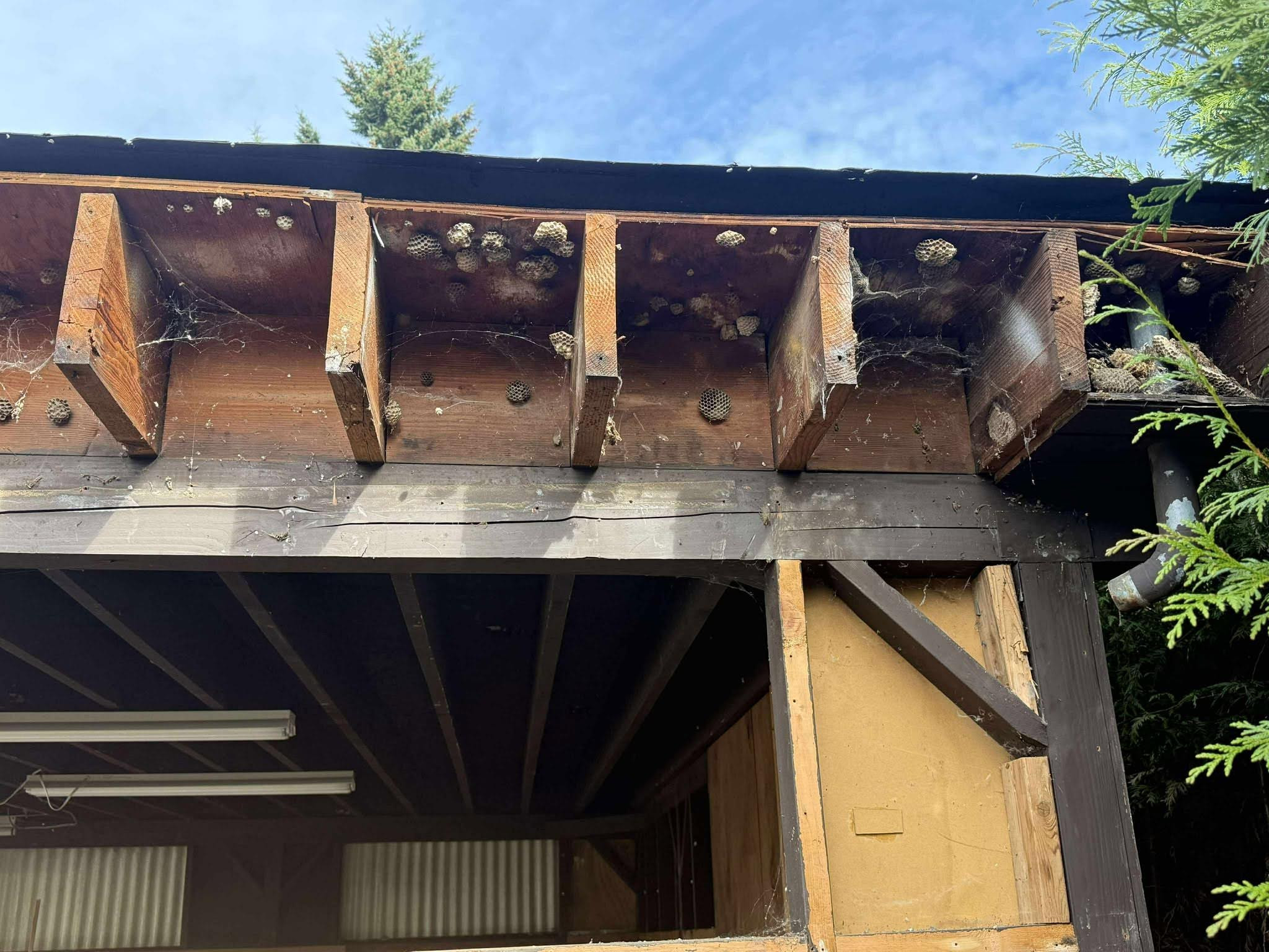 Full Garage Rebuild & Weatherproofing Upgrade