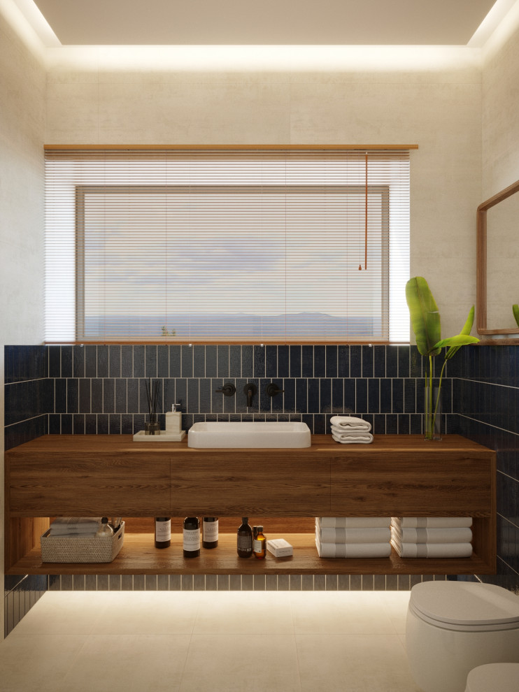 Дом в Веселом boy's wc