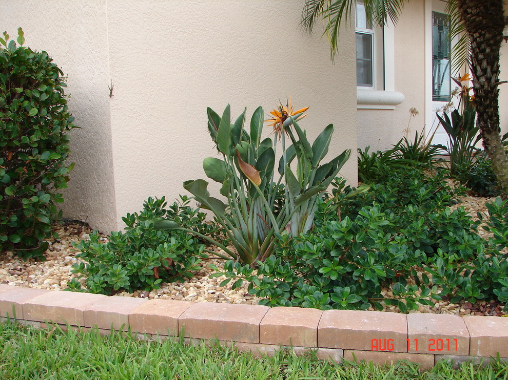 Beach Landscape Beach Style Landscape Miami by Evergreen Irrigation & Landscaping Houzz