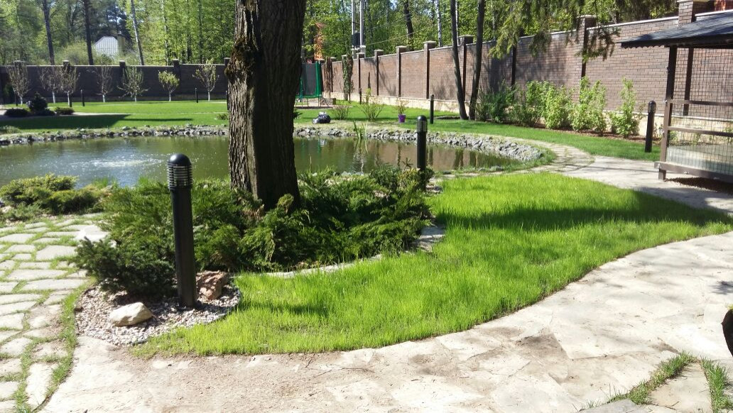 Оформление приствольных кругов деревьев