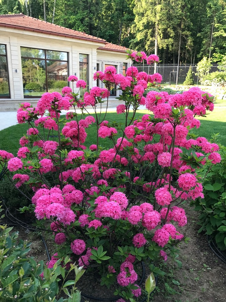 Современный ландшафтный дизайн.