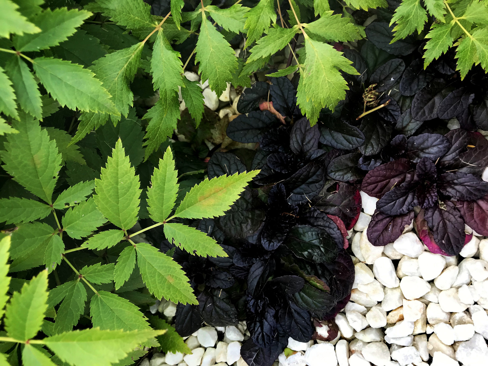 КП Лисавино