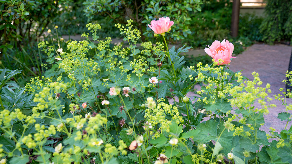 Очарование английского сада КП Балтия 2018 г