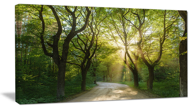 Designart - Evening in Green Forest - Landscape Canvas Art Print, 32 ...