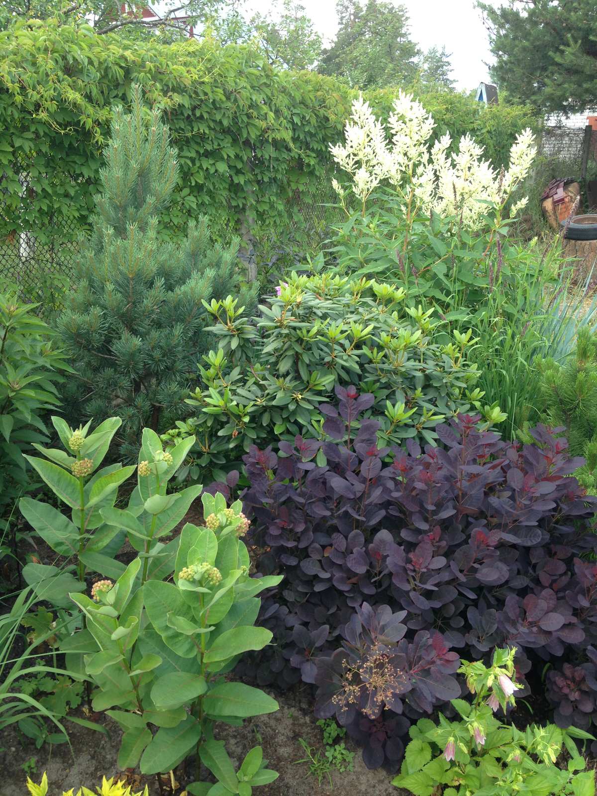 Сад на песках