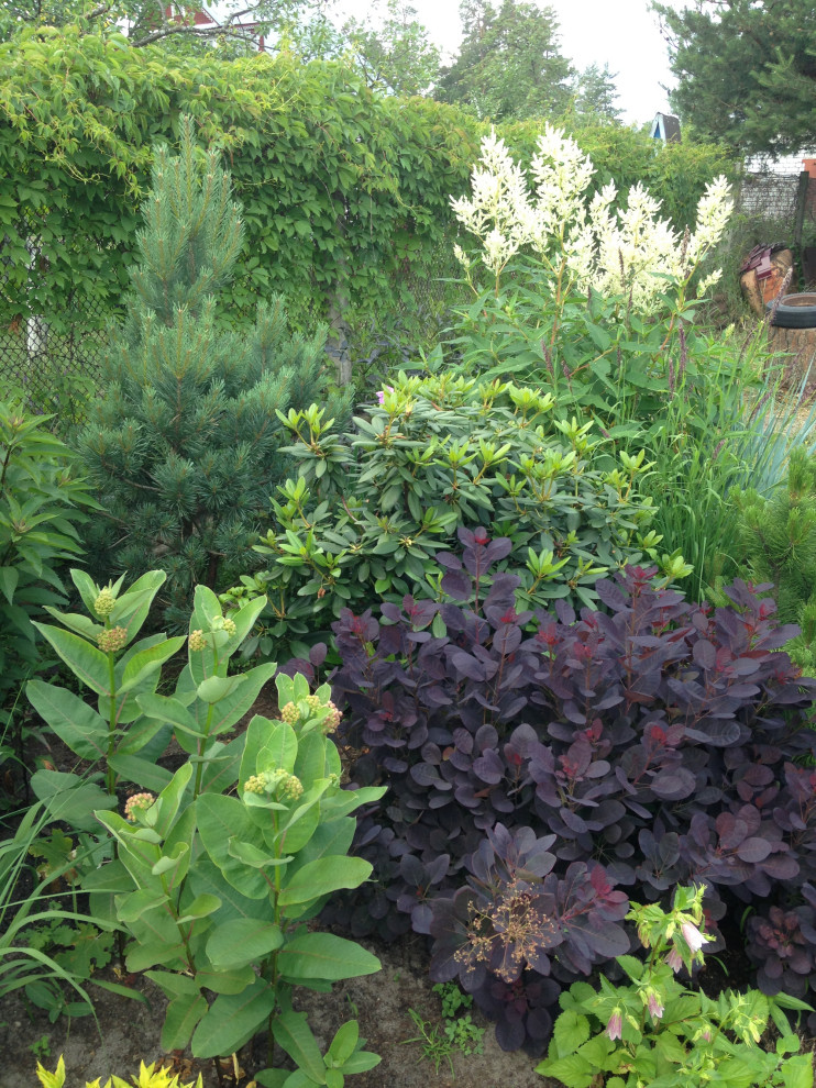 Сад на песках